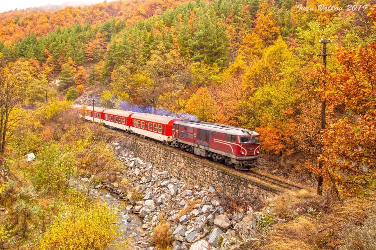 Апартаменти Borov Park 3 Велинград Екстер'єр фото