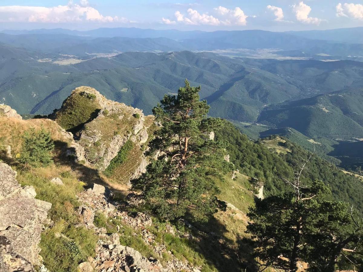 Апартаменти Borov Park 3 Велинград Екстер'єр фото